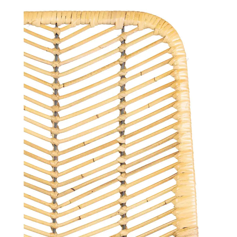 Chaise de salle à manger en rotin naturel, style côtier, lot de 2