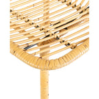 Chaise de salle à manger en rotin naturel, style côtier, lot de 2