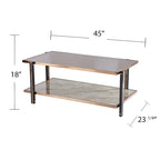 Rectangular Coffee Table, Champagne, Mirrored Top, 2-Tier, 1-Piece
